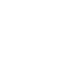 Vitamin C icon. 